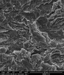 RBM - Spiral Implant, Internal Hex