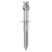 Orthodontic Zygomatic Micro-Implant (TADs)
