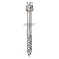 Orthodontic Zygomatic Micro-Implant (TADs)